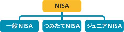 ニーサと積立NISAの違いは何ですか？